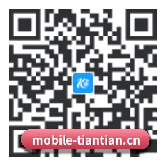 系统版 iOS 二维码